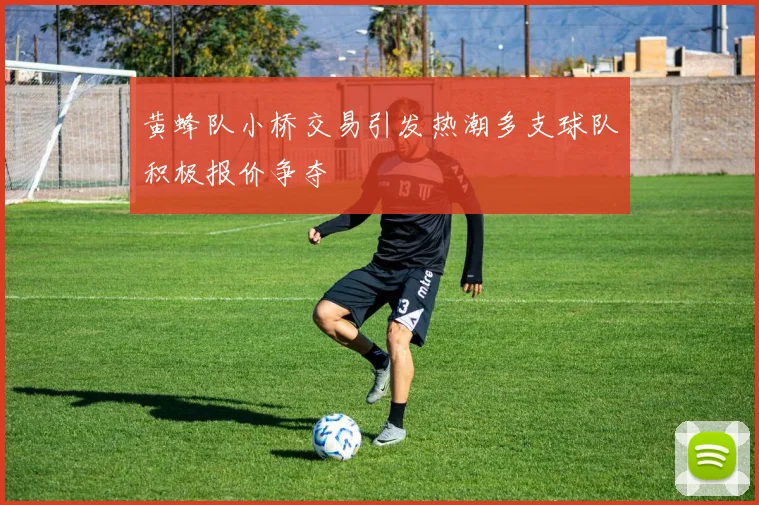 黄蜂队小桥交易引发热潮多支球队积极报价争夺